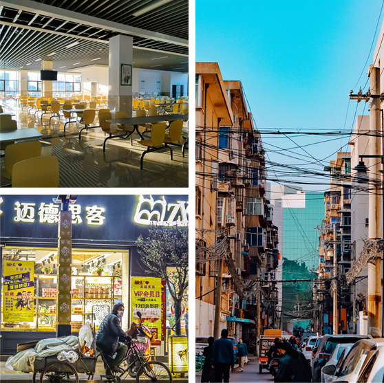 dp��������(�й�)�ٷ���վ