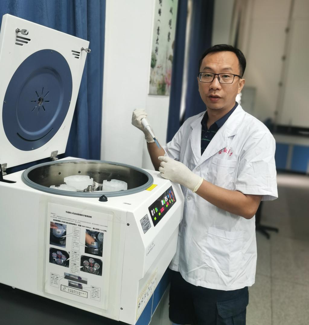 dp��������(�й�)�ٷ���վ