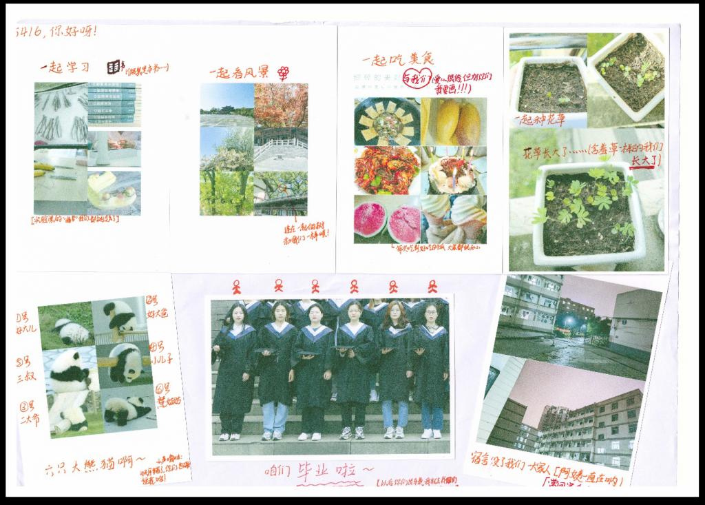 dp��������(�й�)�ٷ���վ