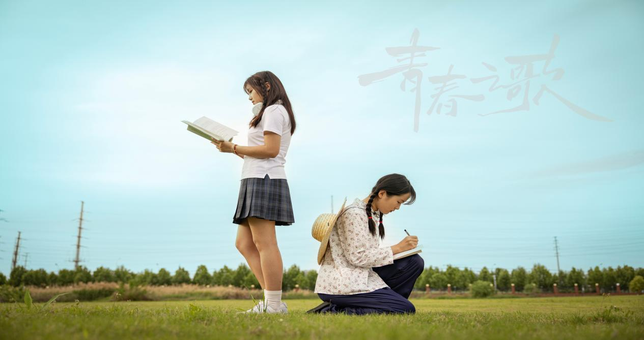 dp��������(�й�)�ٷ���վ