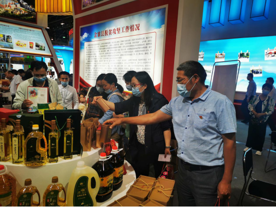 dp��������(�й�)�ٷ���վ