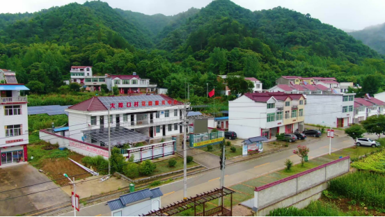 dpÌåÓý¹ÙÍø(Öйú)¹Ù·½ÍøÕ¾