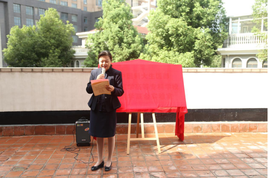 dp��������(�й�)�ٷ���վ