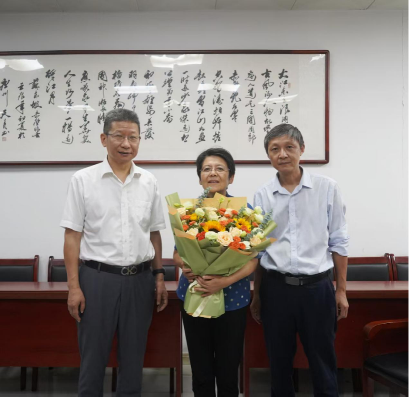 dp��������(�й�)�ٷ���վ