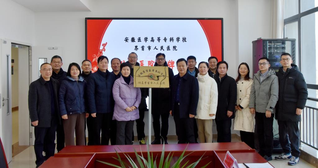 dp��������(�й�)�ٷ���վ