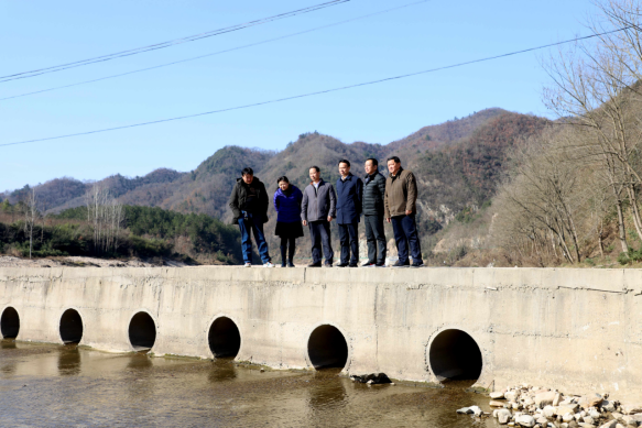 dp��������(�й�)�ٷ���վ