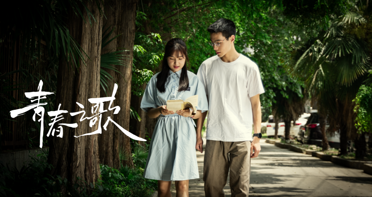 dp��������(�й�)�ٷ���վ