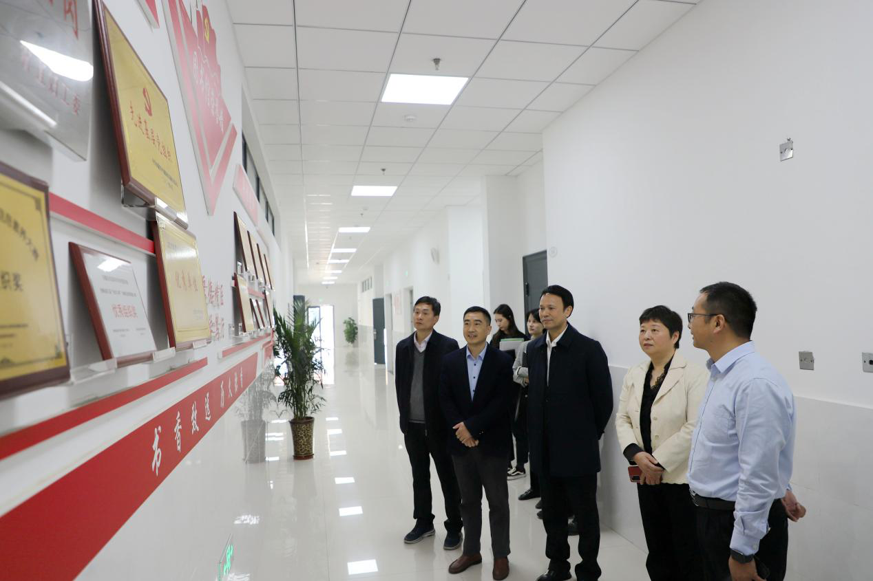 dp��������(�й�)�ٷ���վ