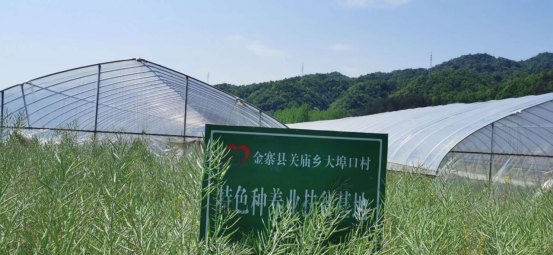 dpÌåÓý¹ÙÍø(Öйú)¹Ù·½ÍøÕ¾