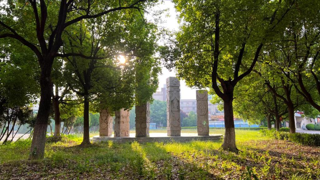 dp��������(�й�)�ٷ���վ