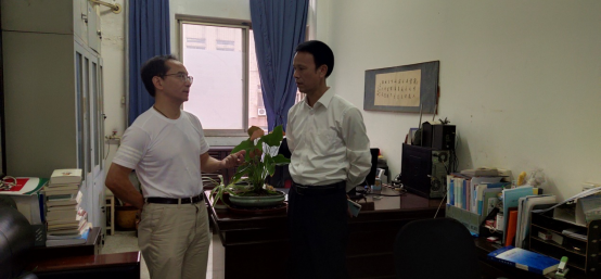 dp��������(�й�)�ٷ���վ